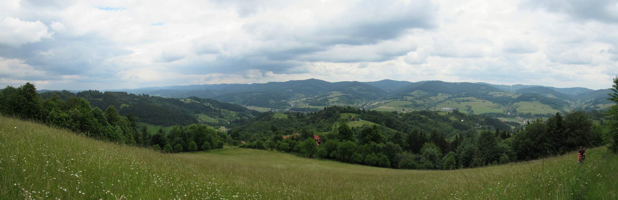 pozemkové spolky
